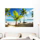 Caribbean Sea and Coconut