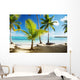 Caribbean Sea and Coconut