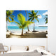 Caribbean Sea and Coconut