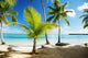 Caribbean Sea and Coconut