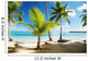 Caribbean Sea and Coconut