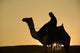Man On Camel At Dusk Near The Pyramids Wall Mural