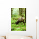 Rainforest Habitat Wall Mural