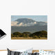 Kilimanjaro Mit Akazien Wall Decal
