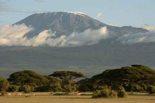 Kilimanjaro Mit Akazien Wall Decal