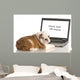 English Bulldog Puppy Working on Computer Wall Decal