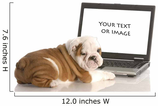 English Bulldog Puppy Working on Computer Wall Decal
