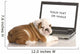 English Bulldog Puppy Working on Computer Wall Decal