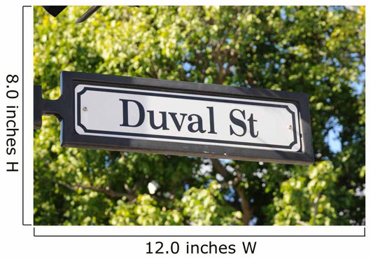 Duval Street Sign Key