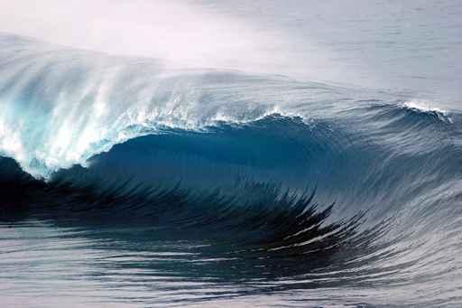 Wave Virgin Wall Decal