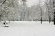 Snow Parco Lambro 2
