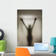 Silhouette Of A Nude Woman Behind The Glass Door Of A Shower Stall Wall Mural