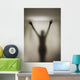 Silhouette Of A Nude Woman Behind The Glass Door Of A Shower Stall Wall Mural
