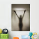 Silhouette Of A Nude Woman Behind The Glass Door Of A Shower Stall Wall Mural
