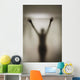 Silhouette Of A Nude Woman Behind The Glass Door Of A Shower Stall Wall Mural
