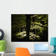 Dappled Sunlight On Green Leaves In Tollymore Forest Park Wall Mural