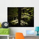 Dappled Sunlight On Green Leaves In Tollymore Forest Park Wall Mural