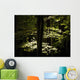 Dappled Sunlight On Green Leaves In Tollymore Forest Park Wall Mural