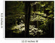Dappled Sunlight On Green Leaves In Tollymore Forest Park Wall Mural