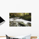 Fast Flowing Water Over Mossy Rocks In Tollymore Forest Park Wall Mural