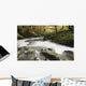 Fast Flowing Water Over Mossy Rocks In Tollymore Forest Park Wall Mural