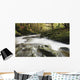 Fast Flowing Water Over Mossy Rocks In Tollymore Forest Park Wall Mural