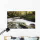 Fast Flowing Water Over Mossy Rocks In Tollymore Forest Park Wall Mural