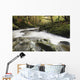 Fast Flowing Water Over Mossy Rocks In Tollymore Forest Park Wall Mural