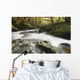 Fast Flowing Water Over Mossy Rocks In Tollymore Forest Park Wall Mural