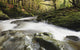 Fast Flowing Water Over Mossy Rocks In Tollymore Forest Park Wall Mural