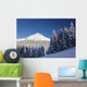 Winter Snow Over The Cascade Range Wall Mural