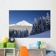 Winter Snow Over The Cascade Range Wall Mural