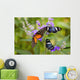 Three Colorful Butterflies On Blossoms In Spring Wall Mural