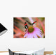 Two Colorful Butterflies On Cone Flower Blossom In Spring Wall Mural