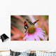 Two Colorful Butterflies On Cone Flower Blossom In Spring Wall Mural