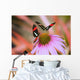 Two Colorful Butterflies On Cone Flower Blossom In Spring Wall Mural