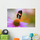 Colorful Butterfly On Cone Flower Blossom In Spring Wall Mural
