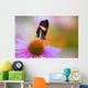 Colorful Butterfly On Cone Flower Blossom In Spring Wall Mural
