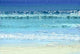 Ocean Colors Wall Decal