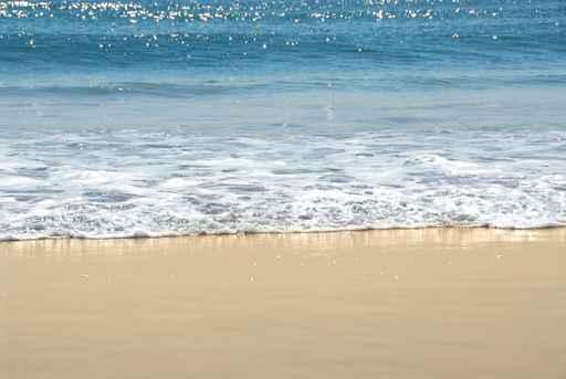 Ocean Shore Wall Decal