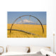 Irrigation Pipe In Wheat Field With Mount Hood In Background Wall Mural