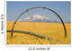 Irrigation Pipe In Wheat Field With Mount Hood In Background Wall Mural
