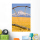 Irrigation Pipe In Wheat Field With Mount Hood In Background Wall Mural