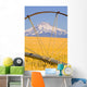 Irrigation Pipe In Wheat Field With Mount Hood In Background Wall Mural