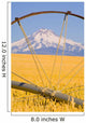 Irrigation Pipe In Wheat Field With Mount Hood In Background Wall Mural