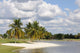 Palm Trees and Lake in Naples Wall Mural