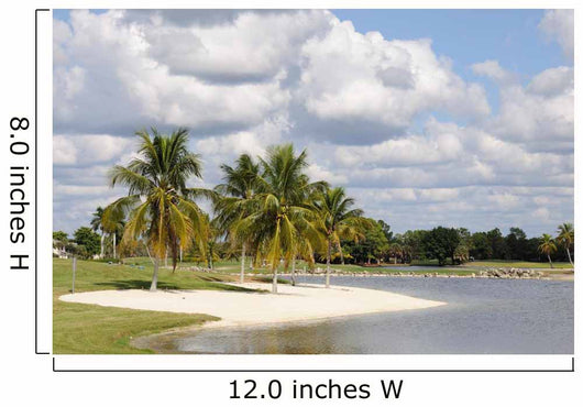 Palm Trees and Lake in Naples Wall Mural