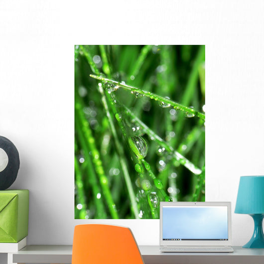 Herbe Wall Mural