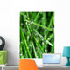 Herbe Wall Mural