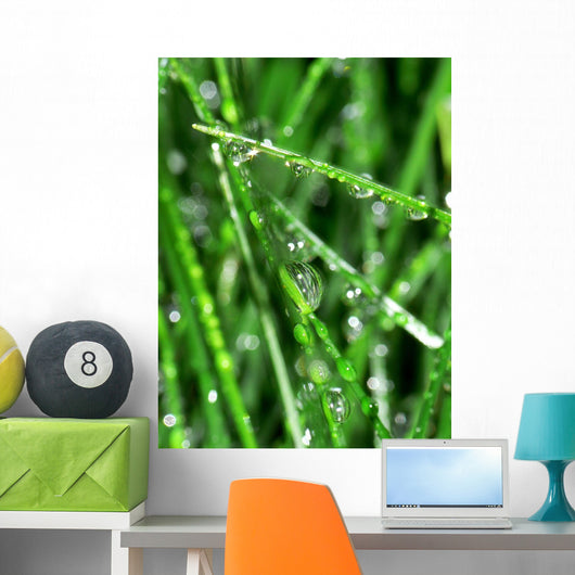 Herbe Wall Mural